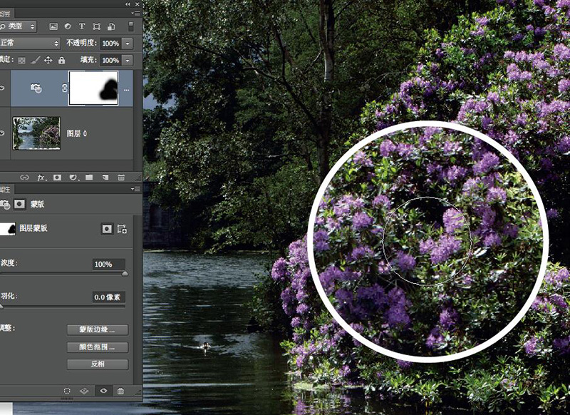 拍照迅速出片,单反相机的相片迅速出片