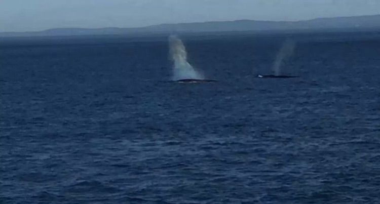 八位佳人在远方——初中闺蜜团加拿大游之美好印记