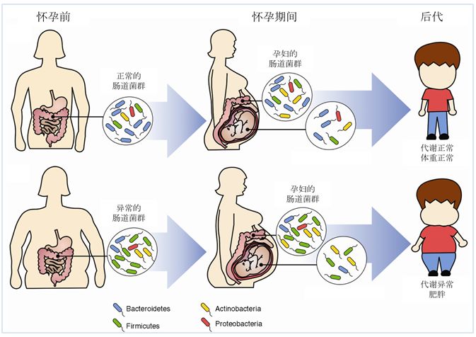宝宝在妈妈肚子里感染了细菌,宝宝与妈妈的相遇
