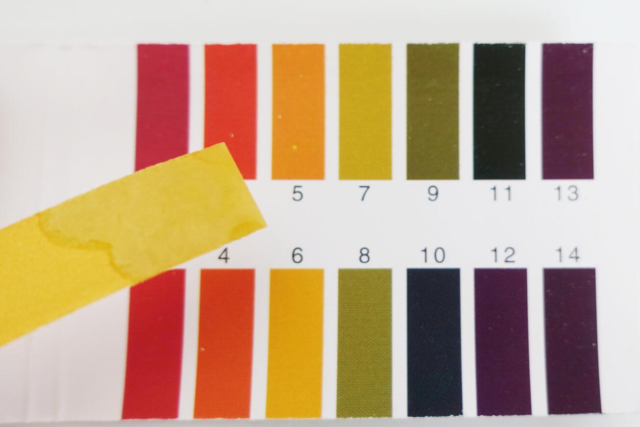 我的变美魔法——膜法世家「周牛牛关爱狗狗定制版」三合一黑面膜