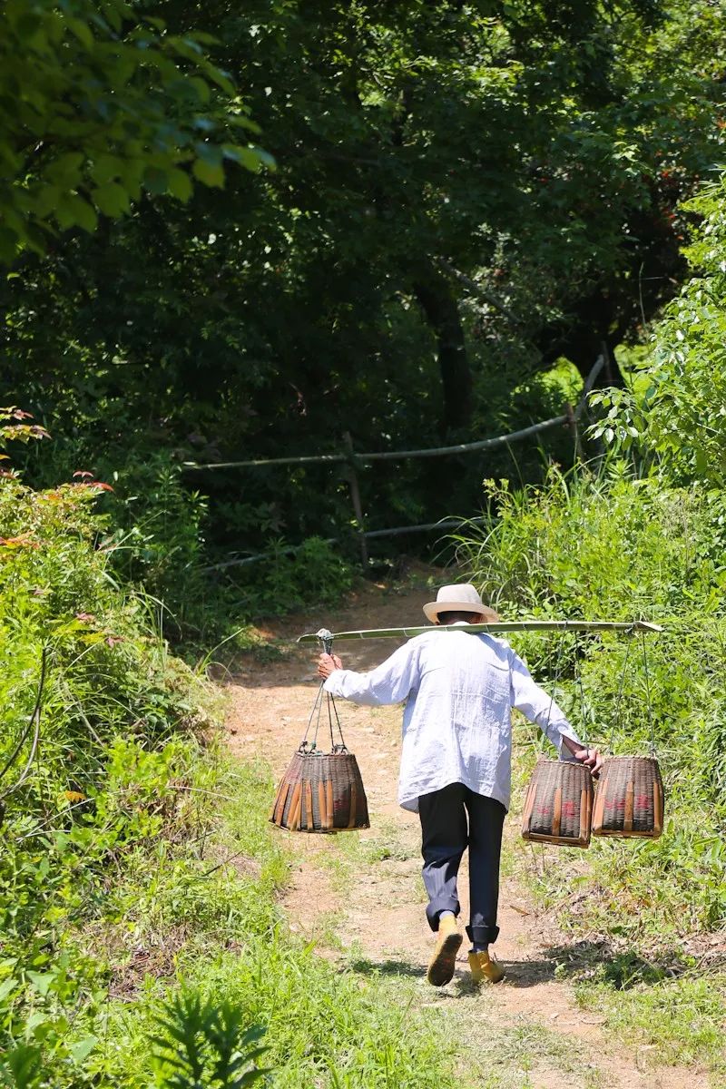 这座跟着周杰伦空降热搜的杨梅味小城,休渔期也能让你吃得满嘴鲜