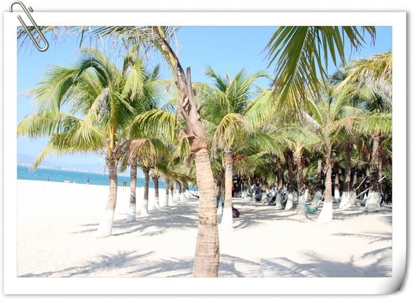 带着梦想去远行视频,带着梦想出发走过春夏秋冬