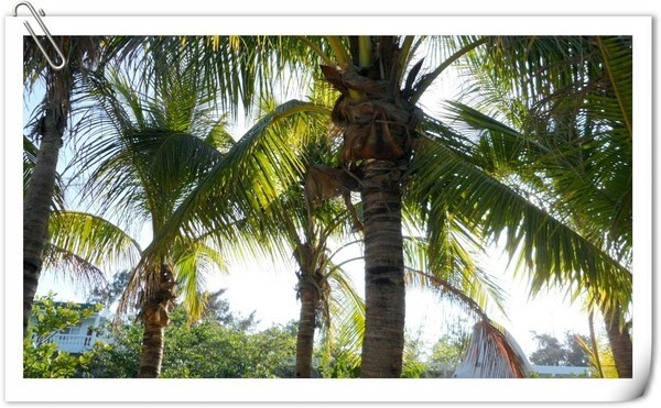 带着梦想去远行视频,带着梦想出发走过春夏秋冬