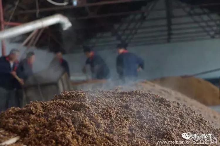 全球李氏祭祖大典隆尧,隆尧李氏恳亲大会直播视频