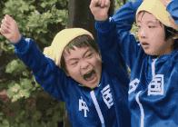 世界杯知识科普简单,世界杯伪球迷攻略