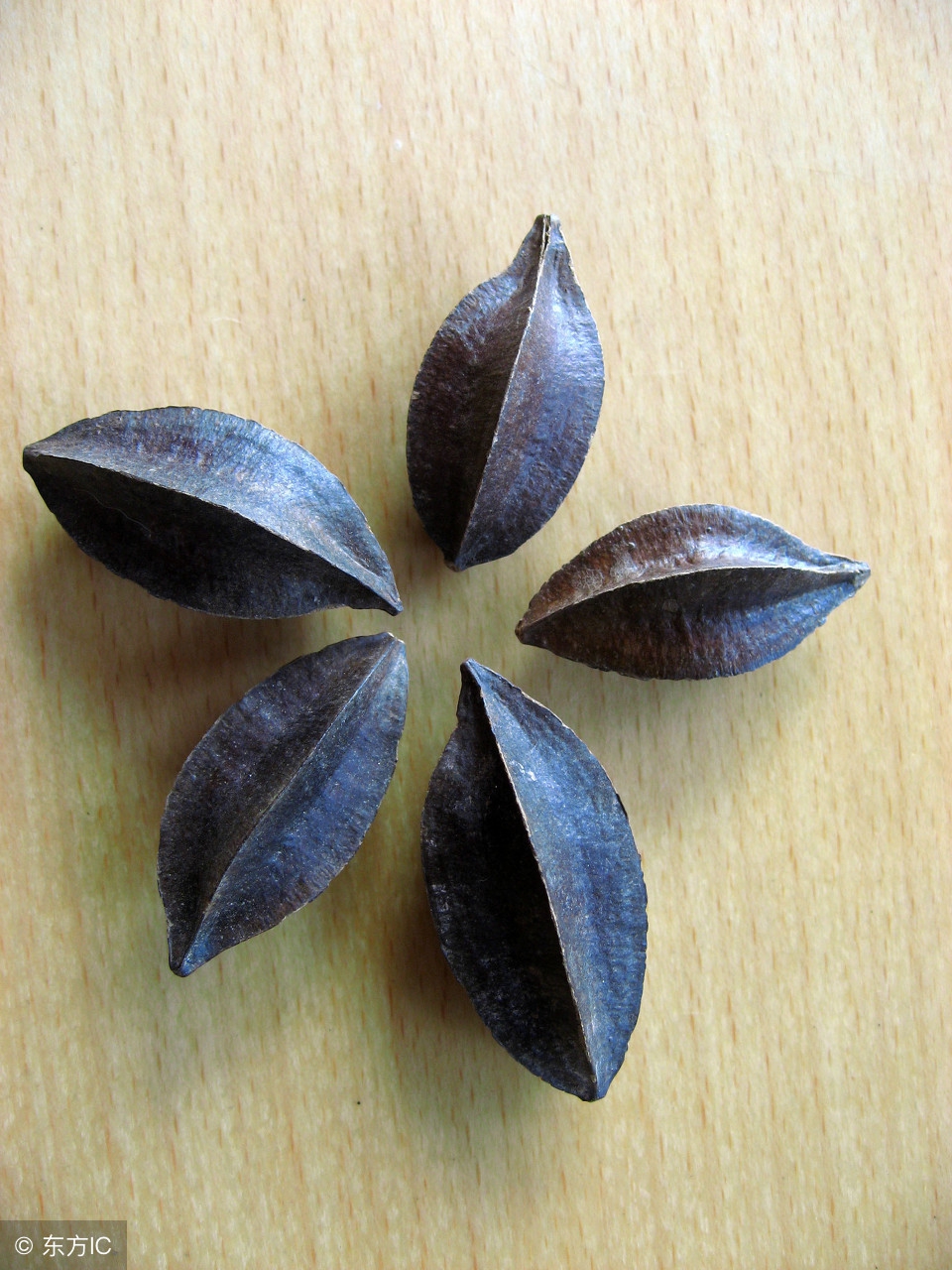 中药师解读街头高价售卖的“使君子”到底好不好使