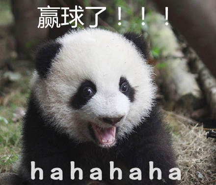 2018年世界杯中国出线概率,2018世界杯中国的最后一场