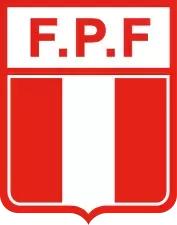 世界杯看球指南全集,球迷必备的世界杯看球指南