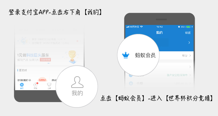 支付宝积分夺宝开奖,支付宝欧洲杯积分预测结果查看