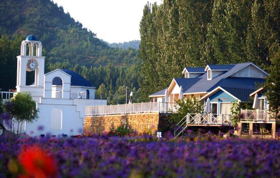 紫海香堤香草艺术庄园,紫海香堤香草艺术庄园视频