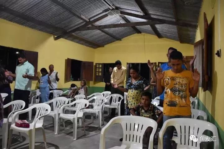 特隆贝塔如何饲养,特隆贝塔半皇与红彩区别