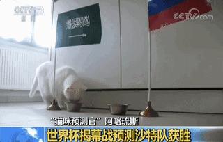 一线传真视频大全,一线传真视频完整版