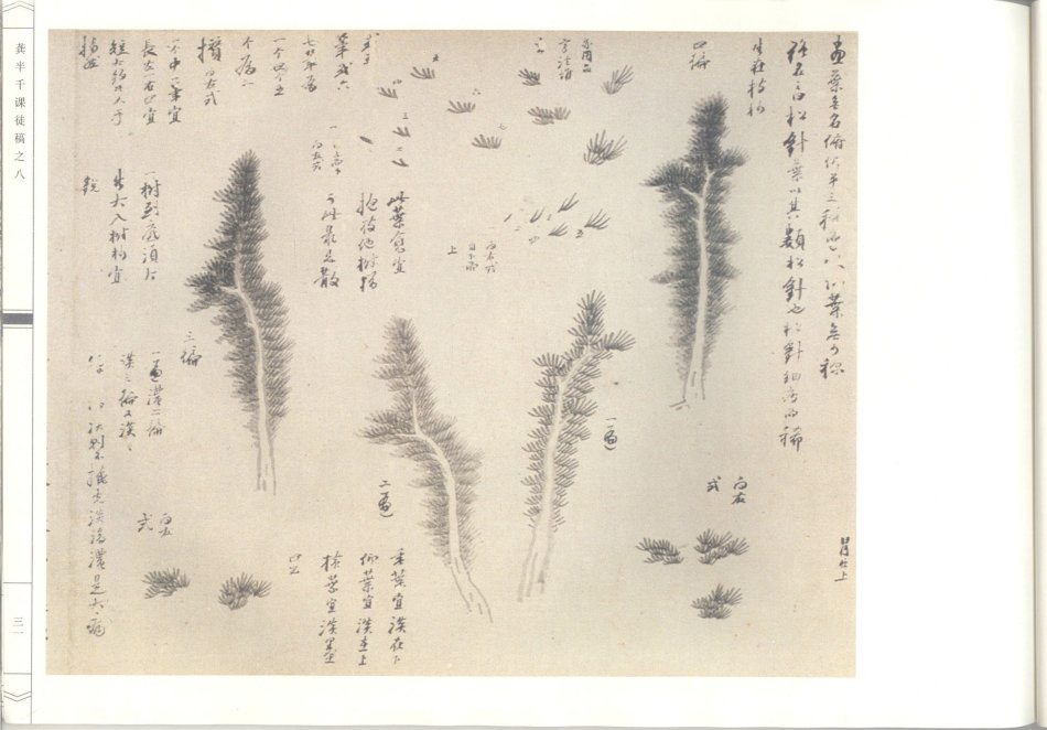 榫氬崐鍗冨北姘寸敾璁茶В,榫氬崐鍗冨北姘寸敾澶у浘