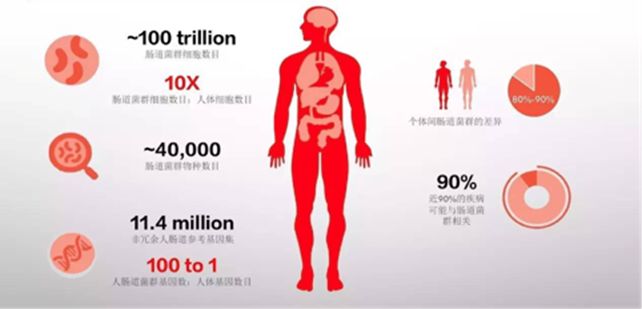 益生菌再认识，它是如何调节小儿免疫的？