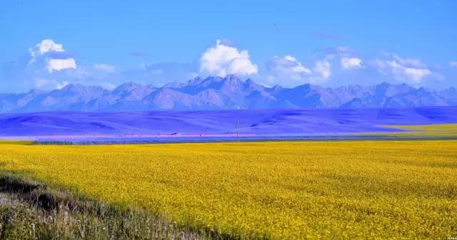 甘肃张掖军马场旅游 (张掖最好的军马场)