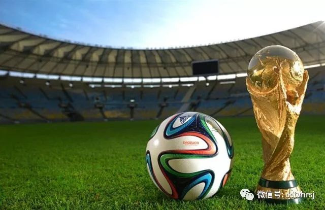 2019女排世界杯中国俄罗斯,俄罗斯世界杯亚洲区12强中国战绩