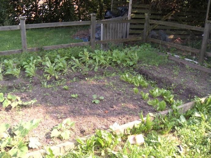 农村自留地被征收如何补偿,农村宅基地被征用后还有补偿吗