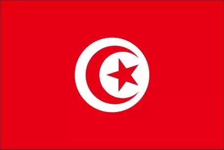 关晓彤足球世界杯比赛,世界杯来了开幕式回看