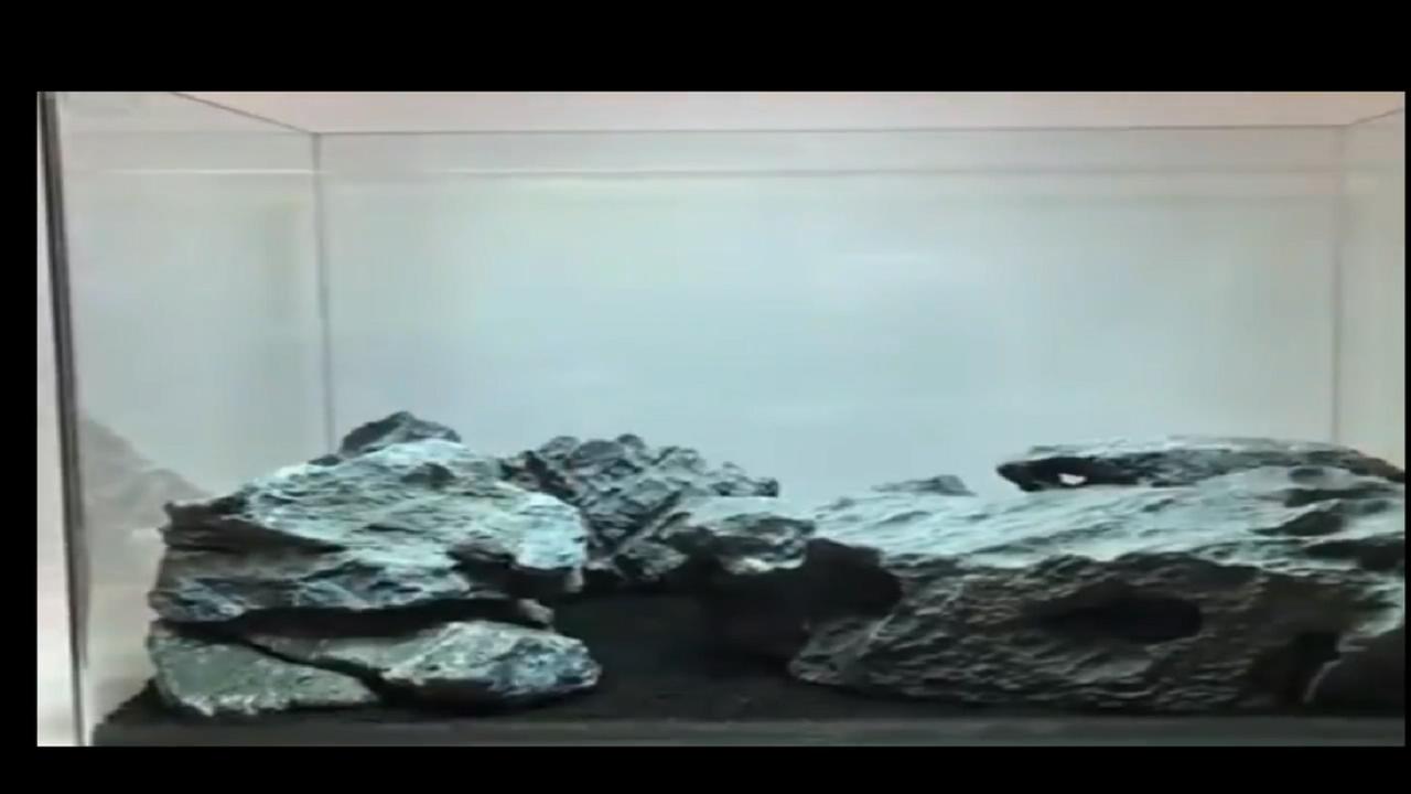 40*40原生莫斯草缸造景作品,鱼缸造景效果图草缸怎么才能通透
