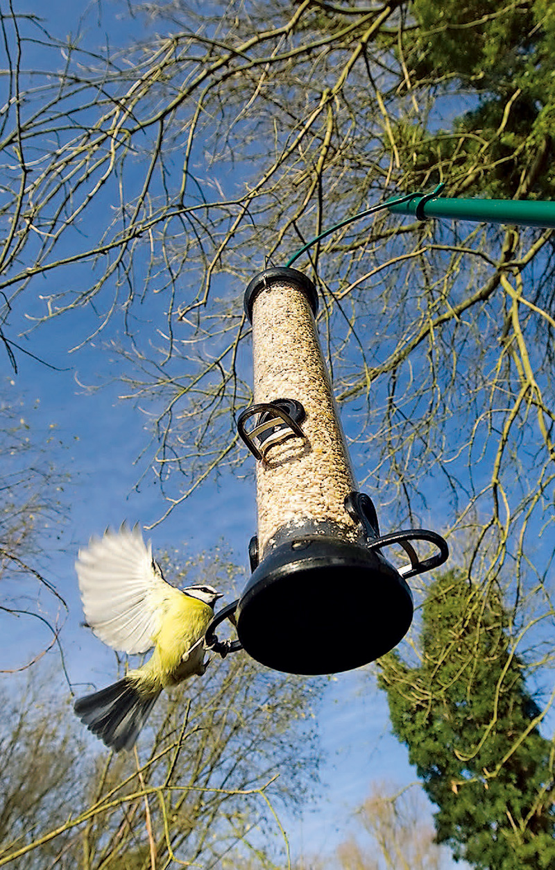 鎯犳儬鎽勫奖浣滃搧娆ｈ祻,鎯犳媿鎽勫奖