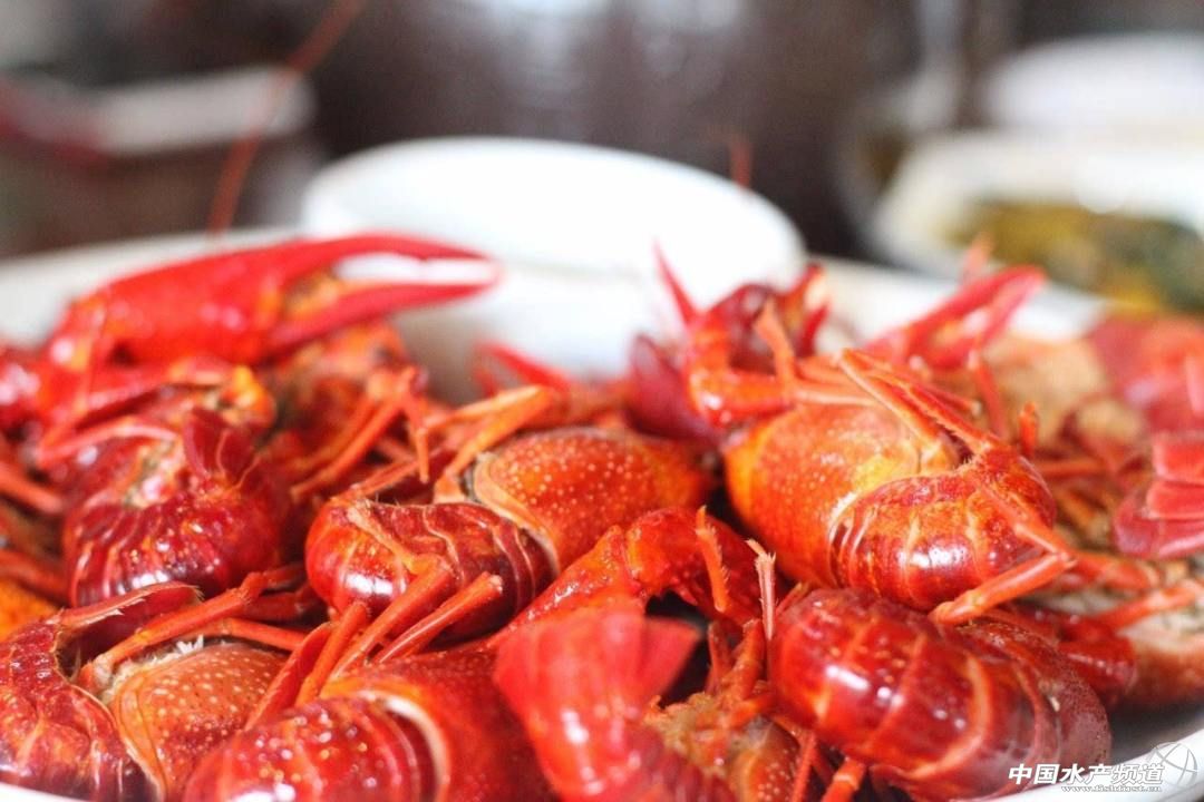 2018世界杯期间，如何正确吃小龙虾？