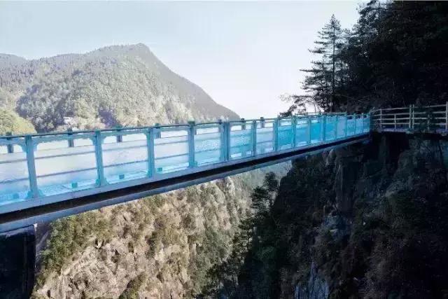 赣州哪座山有玻璃栈道,江西赣州三百山玻璃栈道
