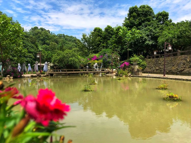 炎炎夏日何处去青岩古镇觅清凉,这个初夏去静谧的古镇寻一处清凉