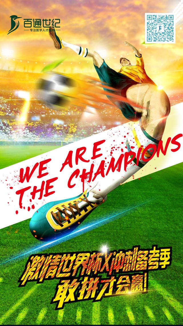 世界杯装蛋糕,世界杯装腔指南荷兰