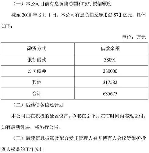 员工1.3亿血汗钱灰飞烟灭凯迪电力实控人陈义龙或为幕后“黑手”