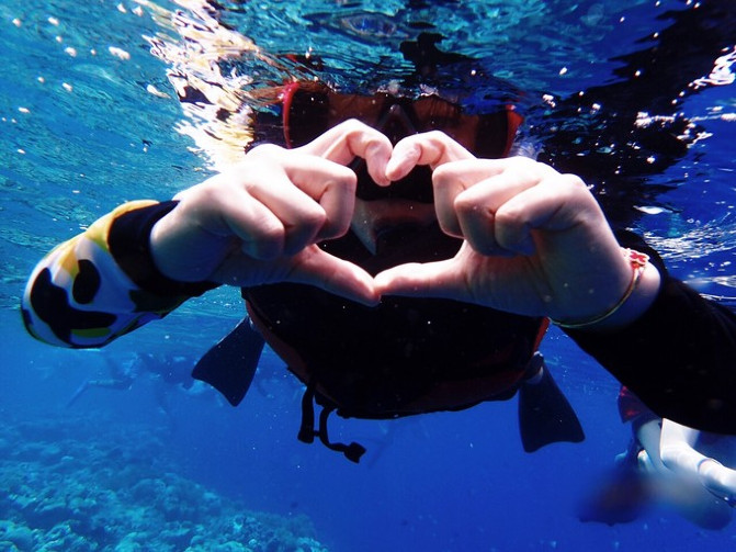 帕劳海底之旅,帕劳的海底