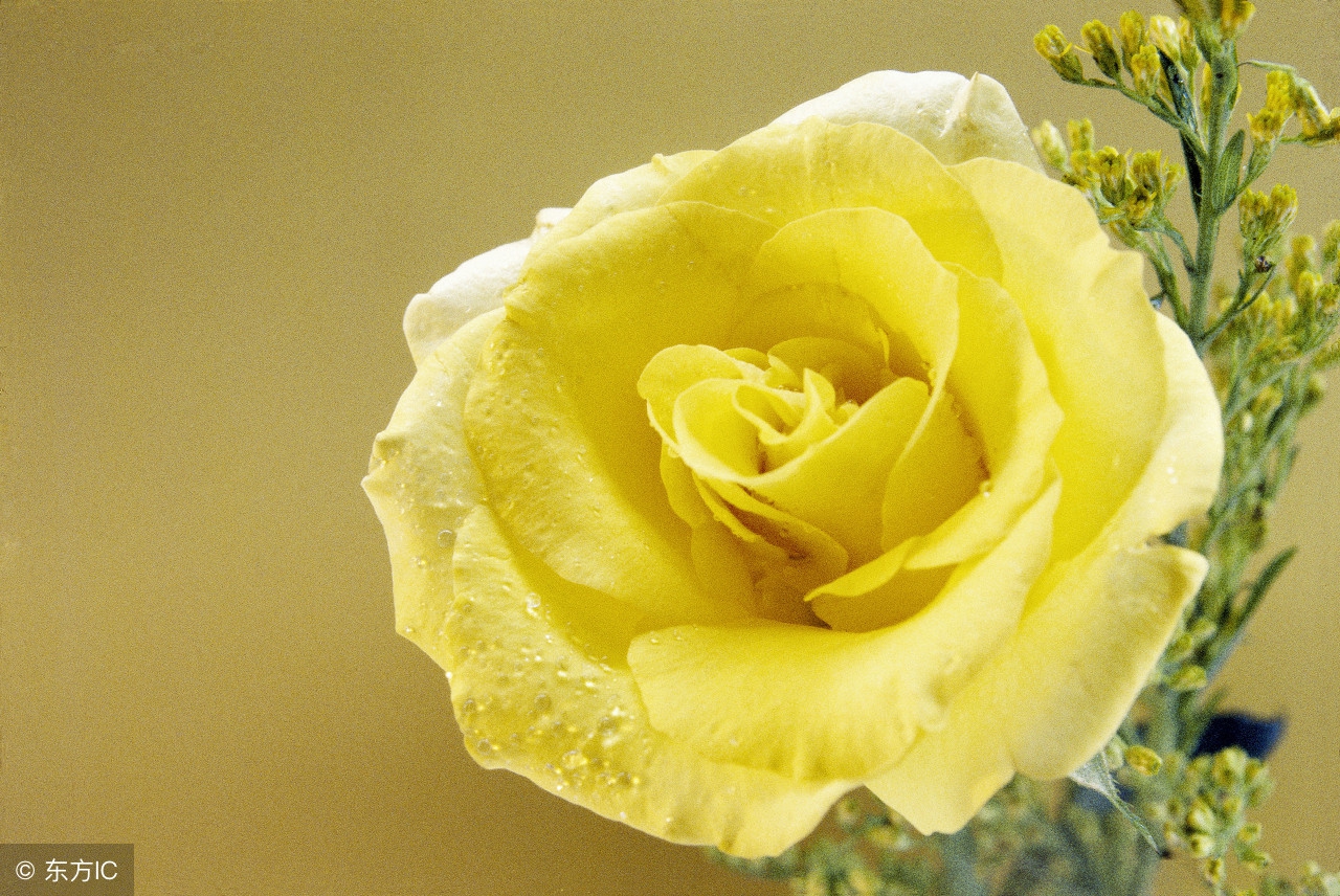 生活小常识收藏,各种实用的生活小常识