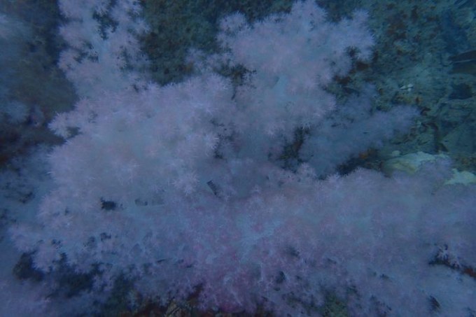 端午来这个绝美海岛,端午海岛游