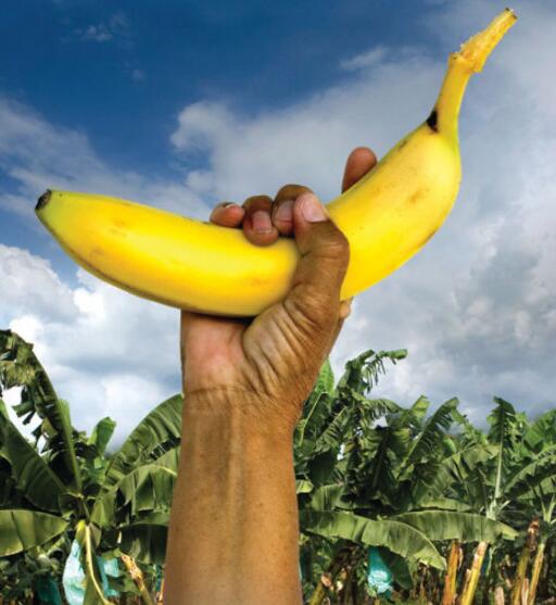 一场足球赛引发两国开战为哪般,哪场足球赛引起两个国家战争