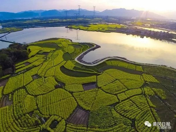 一个穷山村变富裕的故事,一个不起眼的山村如今的变化