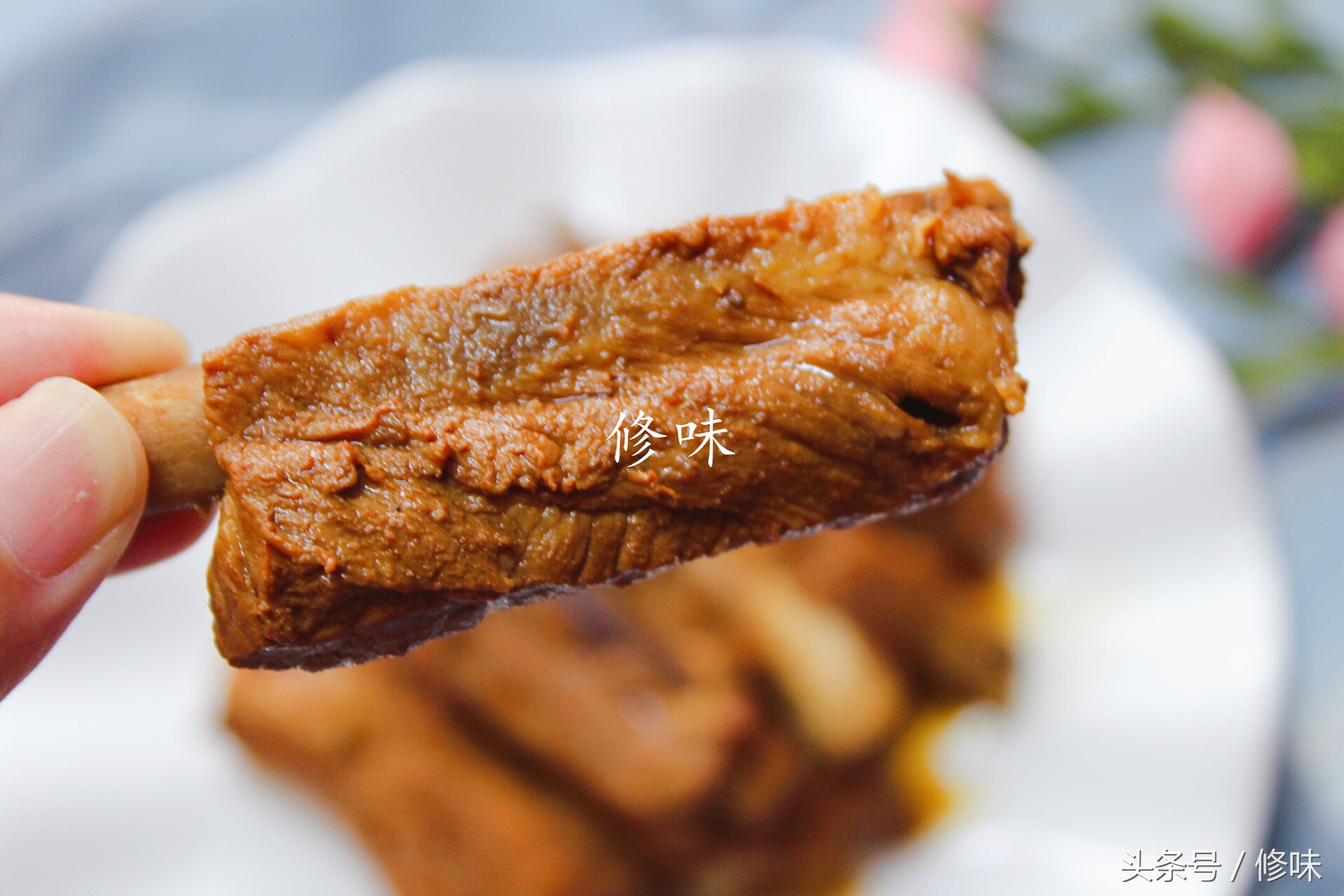 卤排骨和红烧排骨的区别,用啤酒卤排骨怎么卤才好吃