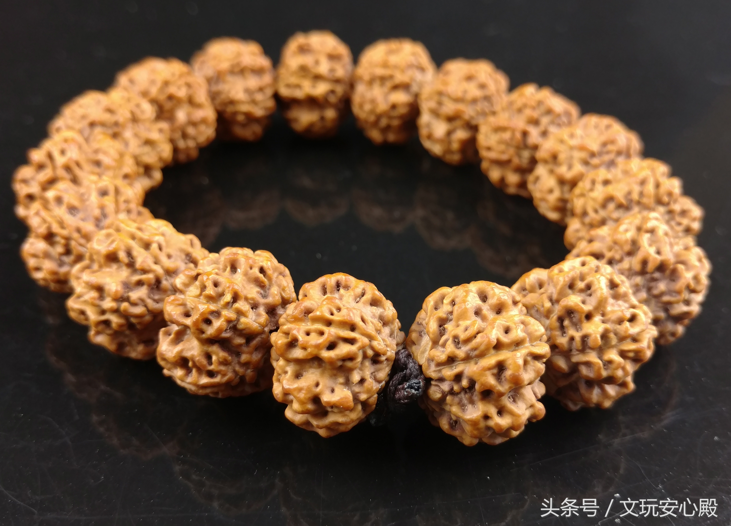 金刚菩提正确的盘玩方式,金刚菩提一年四季的盘玩效果