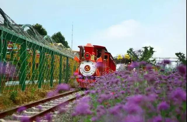 义乌游玩好去处义乌海洋世界,义乌五一亲子游推荐水上乐园