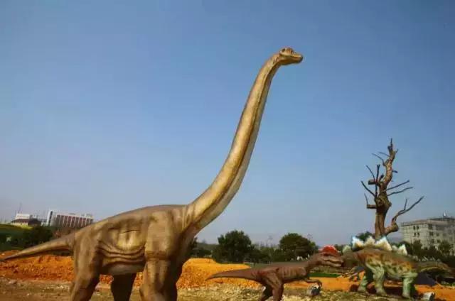 义乌游玩好去处义乌海洋世界,义乌五一亲子游推荐水上乐园