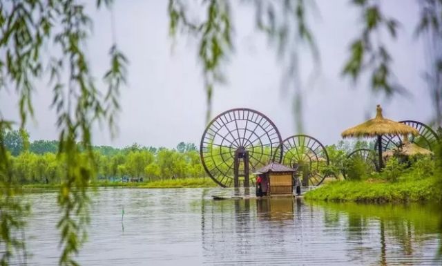 父亲节的特别旅行,父亲节带父亲一起出游