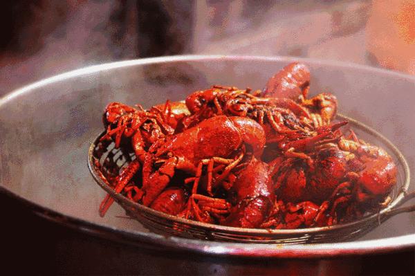 趣聊中国,趣谈中国史电子版