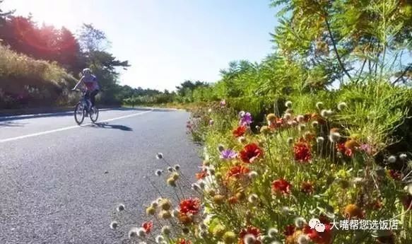 大连自驾游的游记,大连近郊游自驾推荐