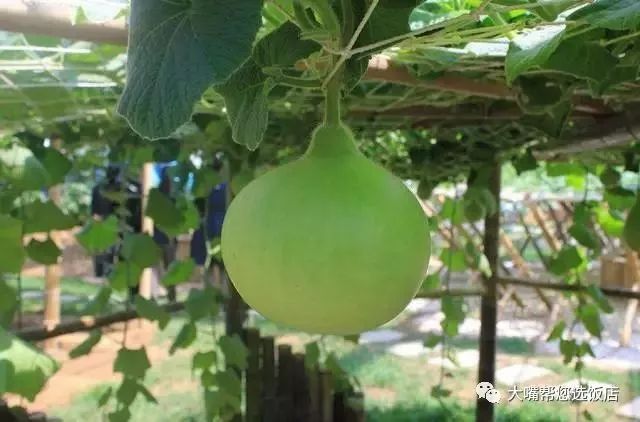 大连自驾游的游记,大连近郊游自驾推荐