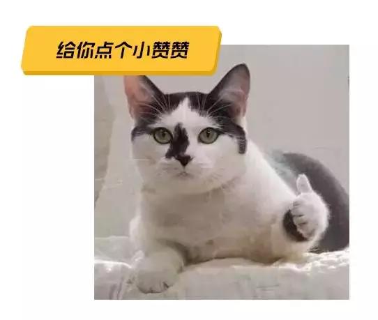 陈奕迅世界杯现场直播,陈奕迅世界杯揭幕视频