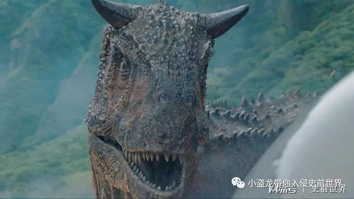 侏罗纪世界2一口气看完解说,《侏罗纪世界2》所有恐龙的名字