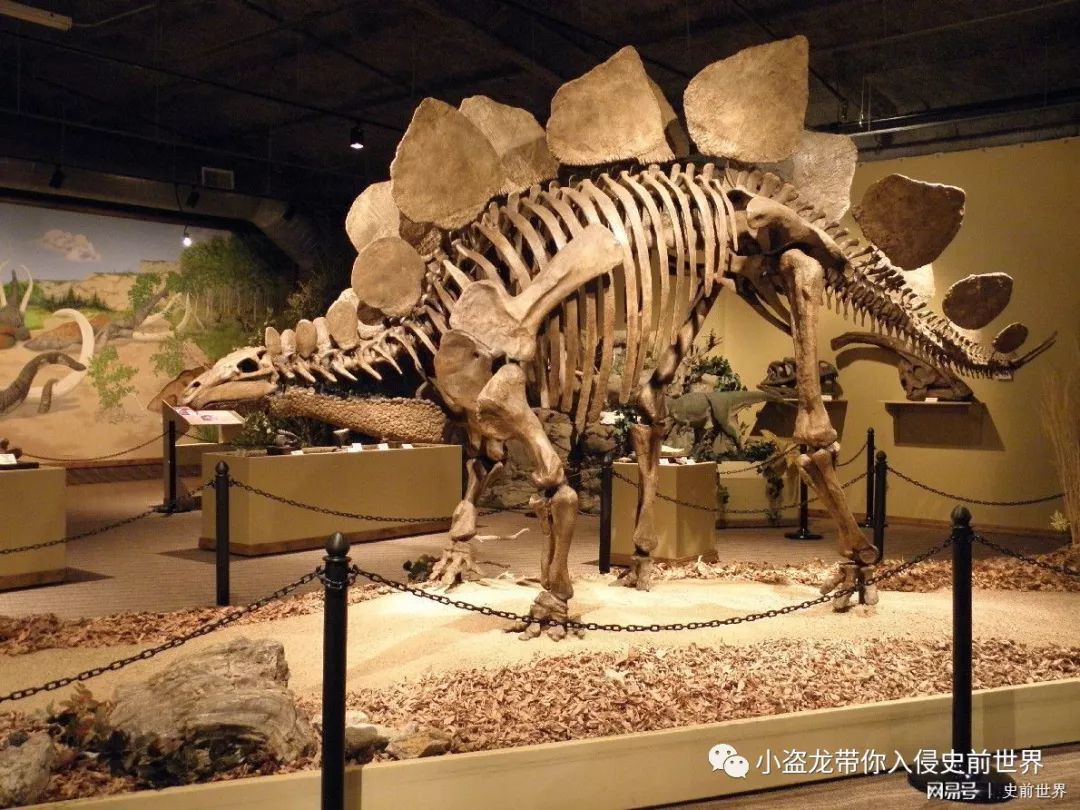 《侏罗纪世界2》所有恐龙的名字,侏罗纪世界2里面所有的恐龙名字