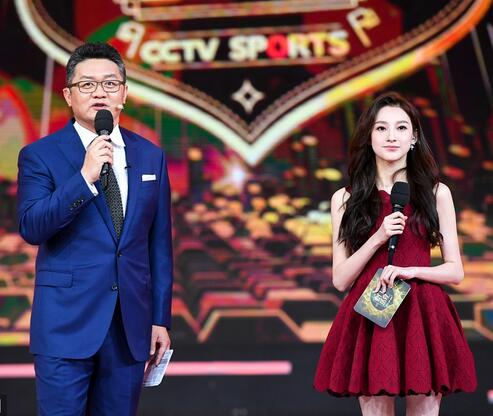 央视一姐马凡舒的简历,央视一姐马凡舒现状