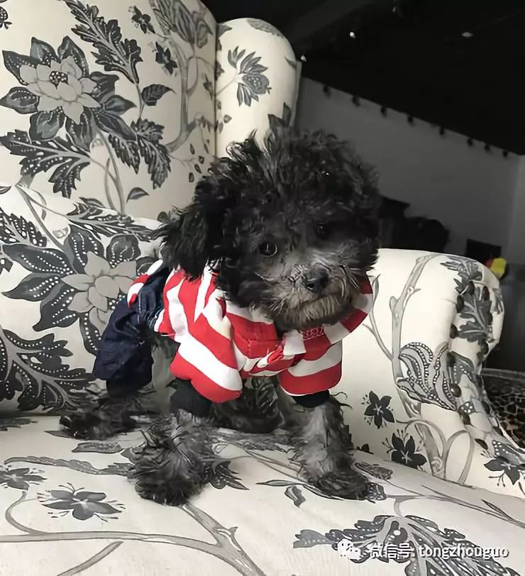 震撼之年！通州*迁拆**、购房、装修的都进来看看，这个信息很有用！