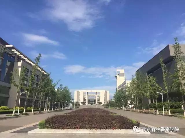 你看起来像我战友图片,你看起来像我战友素材