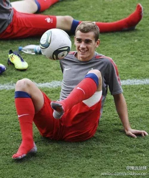 世界杯肉肉的仙人球,世界杯金肉肉