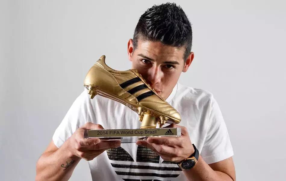 世界杯肉肉的仙人球,世界杯金肉肉